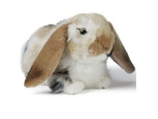 Peluche lapin marron d'occasion  Village-Neuf