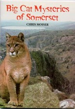 Big cat mysteries for sale  ROSSENDALE