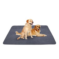Non slip dog for sale  Eugene