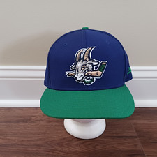 Milb hartford yard for sale  Toms River