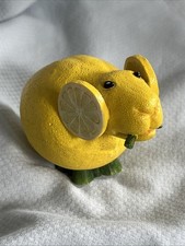 Home grown enesco for sale  Roanoke