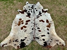 Large tricolor rodeo for sale  Suwanee