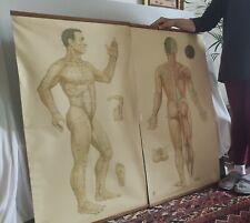 Anciennes planches médicales d'occasion  Collobrières