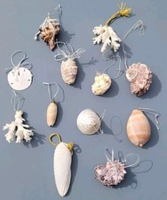 wall seashell decor lot 4 for sale wall seashell decor lot 4 for sale Columbus
