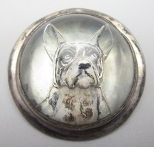 beautiful french bulldogs for sale beautiful french bulldogs for sale Dallas