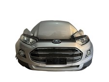 ford ecosport 2019 usato  Rosarno