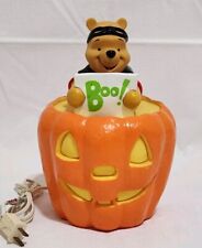 Vintage disney 1999 for sale  Montgomery