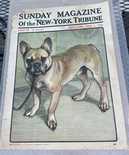 1907 french bulldog for sale  Lowell