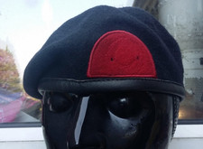 Royal marines training for sale  BRENTWOOD