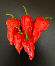 Ghost chillies super for sale  WAKEFIELD