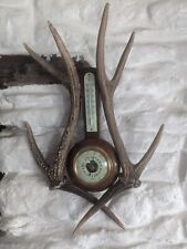 Antique deer antler for sale  BARNARD CASTLE