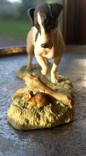 Border fine arts for sale  CULLOMPTON
