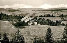 Steibis hohenegg alpe gebraucht kaufen  Deutschland