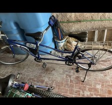 Tandem bianchi ottime usato  San Felice Circeo