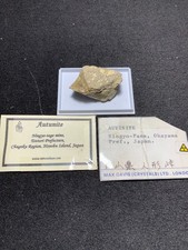Autunit ningyo pass gebraucht kaufen  Halberstadt