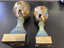 Pokal baugleiche goldfarbene gebraucht kaufen  Bad Honnef