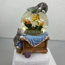 Kitty cat goldfish for sale  Tucson