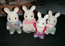 Sylvanian family quattro usato  Saviore dell'Adamello
