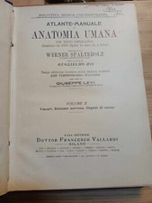Aylante manuale anatomia usato  Civitanova Marche