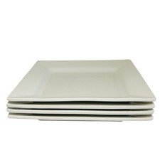 Square dinner plate for sale  BIGGLESWADE