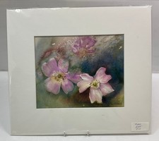 Ann blockley cosmos for sale  UK