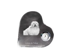 Coton tulear heart d'occasion  Expédié en Belgium