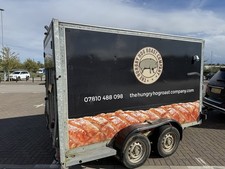 Elite pig hog for sale Elite pig hog for sale  WISBECH