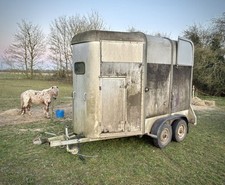 Ifor williams horse for sale  EYE