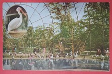 CARTÃO POSTAL ANTIGO-INTERIOR DA GAIOLA VOADORA-PARQUE ZOOLÓGICO DE NOVA YORK-NY comprar usado  Enviando para Brazil