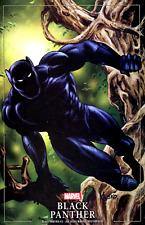 Black panther joe for sale  Lake Orion