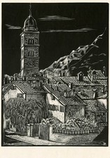 Trento vecchie tegole. usato Trento vecchie tegole. usato  Italia