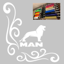 Man truck window for sale  WELLINGBOROUGH