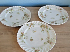 Assiettes plates porcelaine d'occasion  Château-Salins