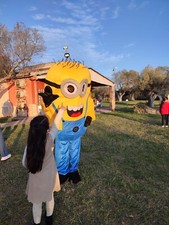 Mascotte minions due usato  Sinnai