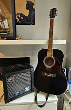 Elektro akustik gitarre gebraucht kaufen  Flensburg