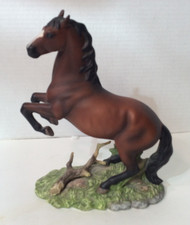 1997 horse stallion for sale  Colorado Springs
