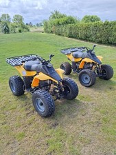 Adult quad bikes for sale  WISBECH