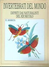 Invertebrati del dipinti usato  Italia