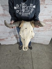 Cow skull cow for sale  Knoxville