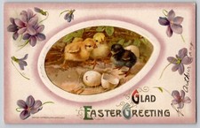 Easter hatched eggs for sale  Valley Mills