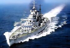 Royal navy king for sale  WATERLOOVILLE