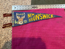 Vintage new brunswick for sale  East Longmeadow