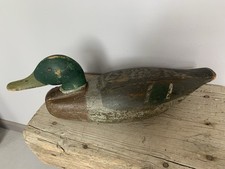 Old mallard drake for sale  Dillon