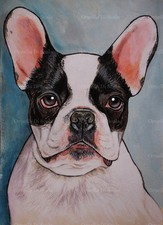 Ritratto cane bulldog usato  Villaricca