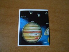 Figurina scienze animali usato  Torino