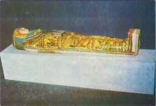 Egypt postcard cairo for sale  WATERLOOVILLE