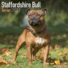 Calendrier 2021 staffordshire d'occasion  Troyes