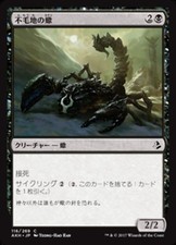 Mtg magic akh usato  Cittadella