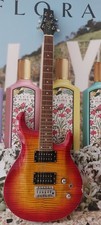 Chitarra elettrica eko usato  Villalba