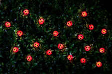 Red ladybird solar for sale  LONDON
